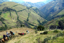 Ecuador-Highlands-Cloud Forest to Highland Ride